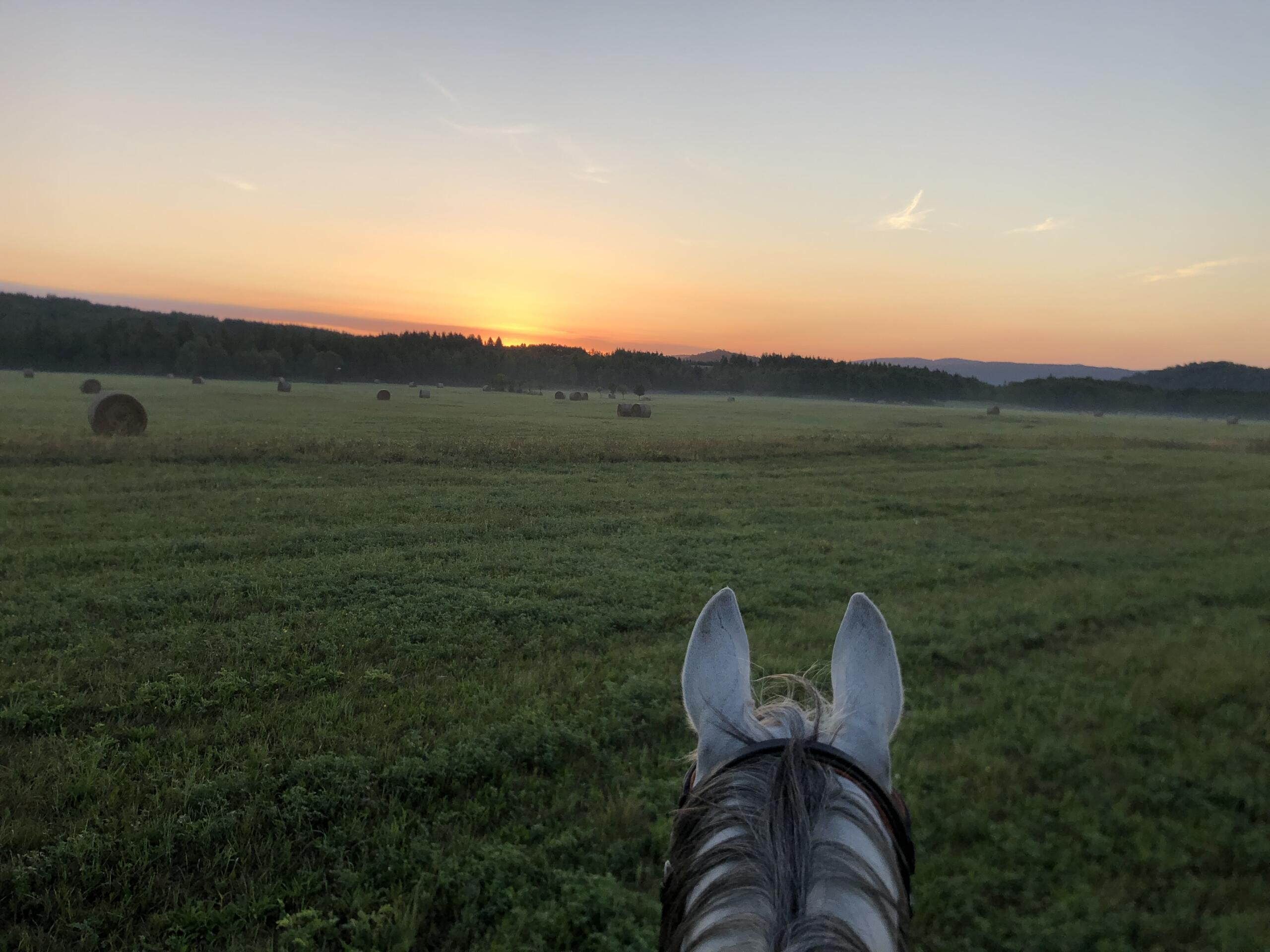 Matěj Mareš – nový ředitel společnosti